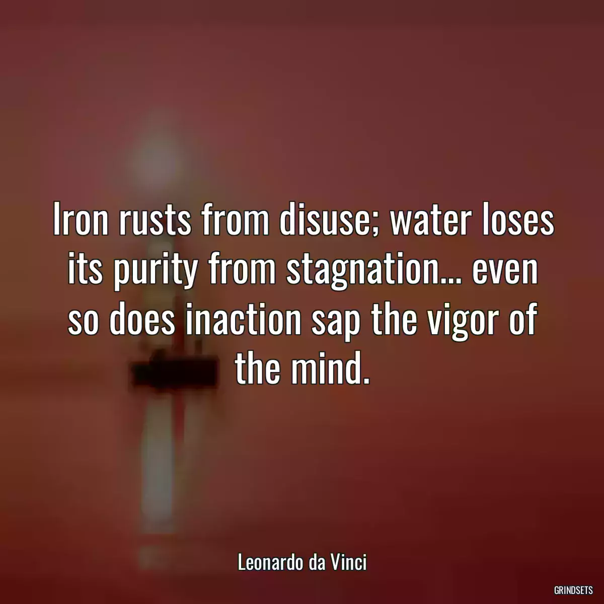 Iron rusts from disuse; water loses its purity from stagnation... even so does inaction sap the vigor of the mind.