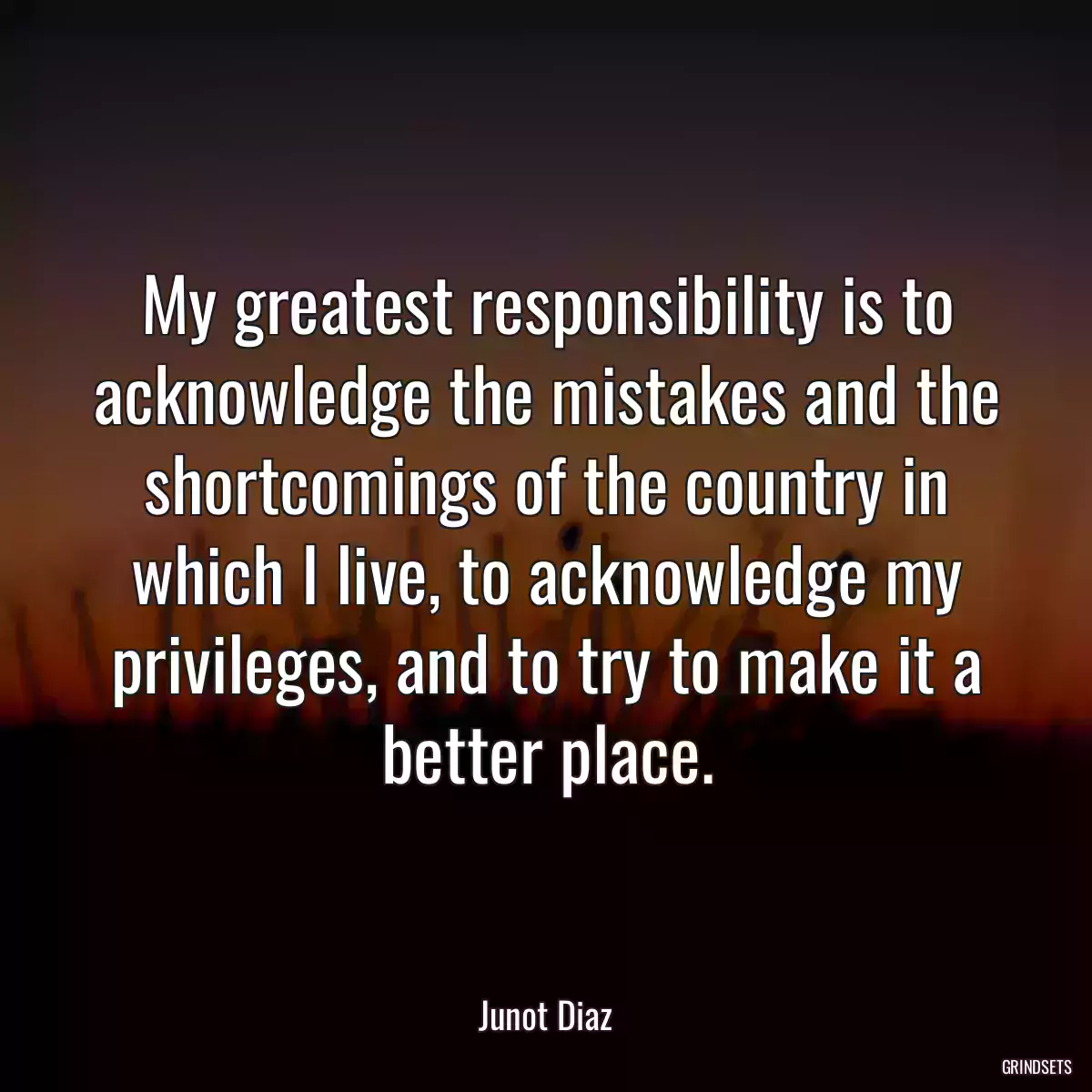 My greatest responsibility is to acknowledge the mistakes and the shortcomings of the country in which I live, to acknowledge my privileges, and to try to make it a better place.