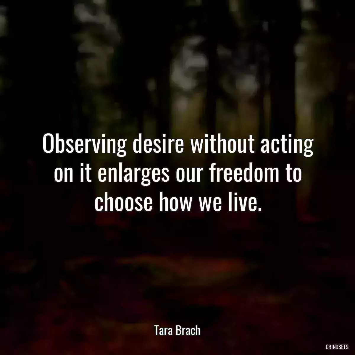 Observing desire without acting on it enlarges our freedom to choose how we live.