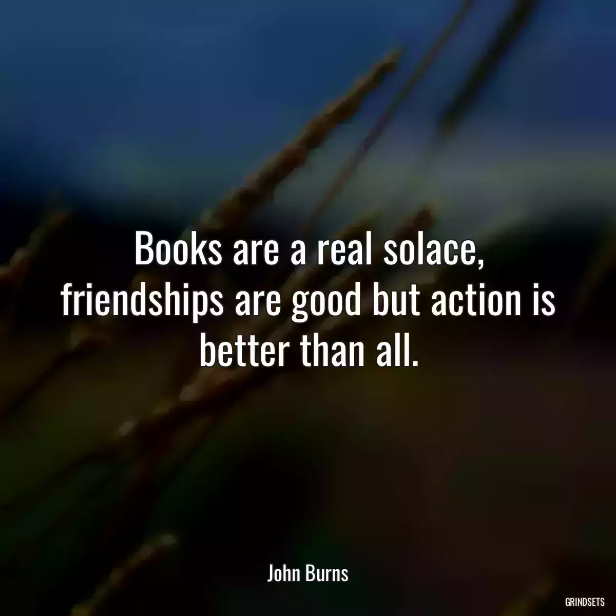 Books are a real solace, friendships are good but action is better than all.