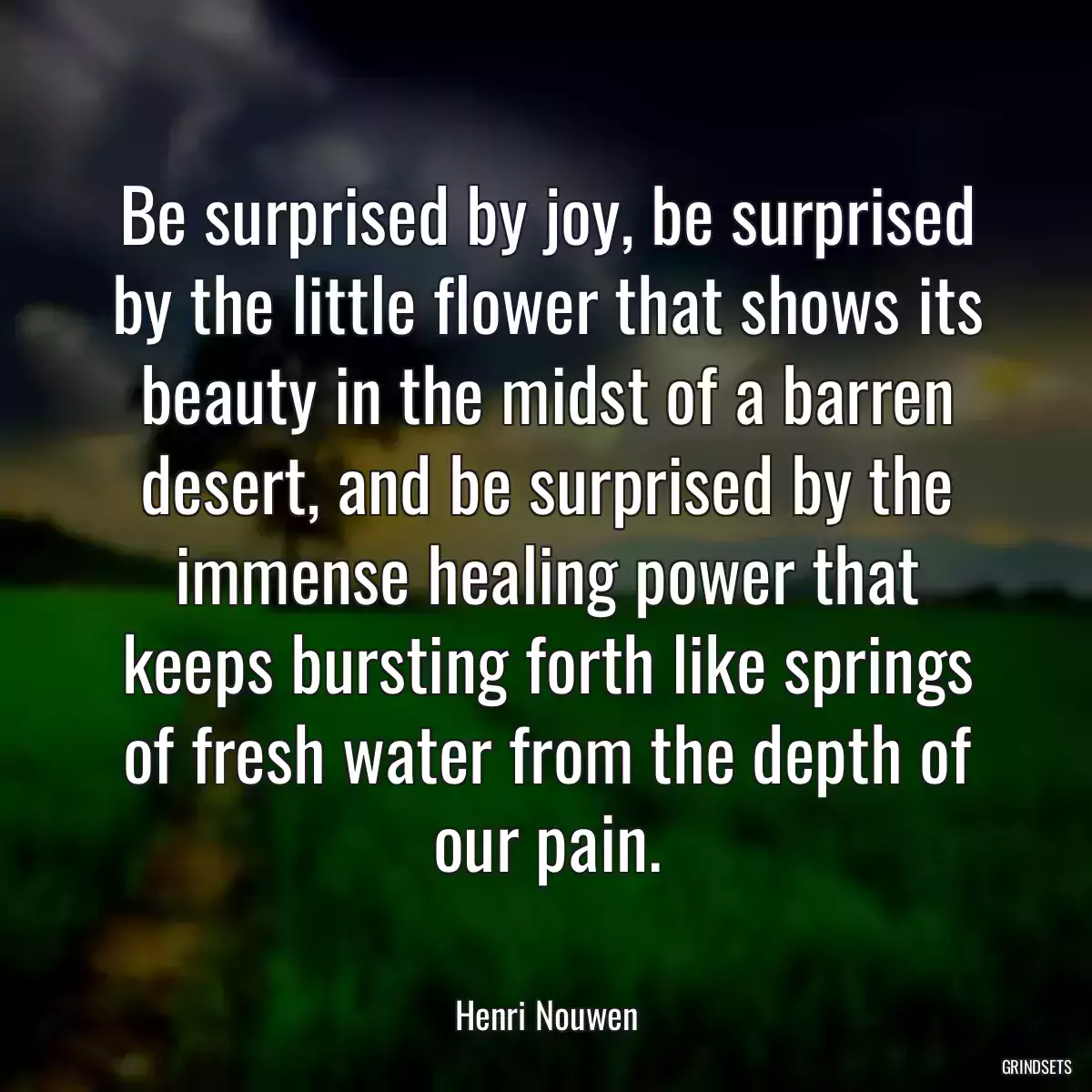 Be surprised by joy, be surprised by the little flower that shows its beauty in the midst of a barren desert, and be surprised by the immense healing power that keeps bursting forth like springs of fresh water from the depth of our pain.