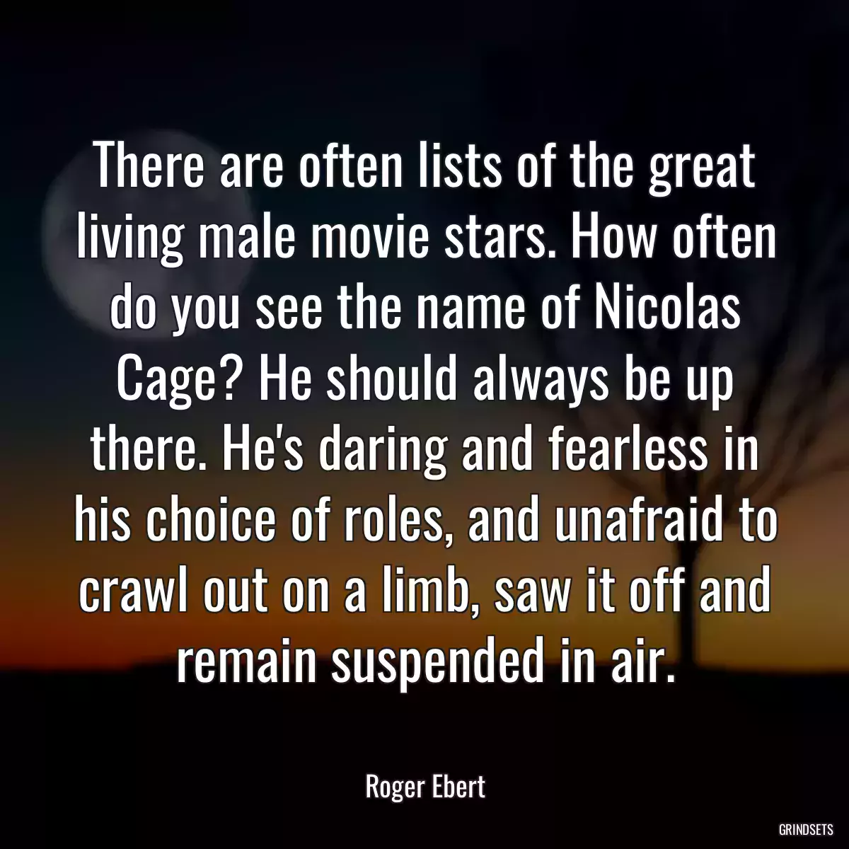 There are often lists of the great living male movie stars. How often do you see the name of Nicolas Cage? He should always be up there. He\'s daring and fearless in his choice of roles, and unafraid to crawl out on a limb, saw it off and remain suspended in air.