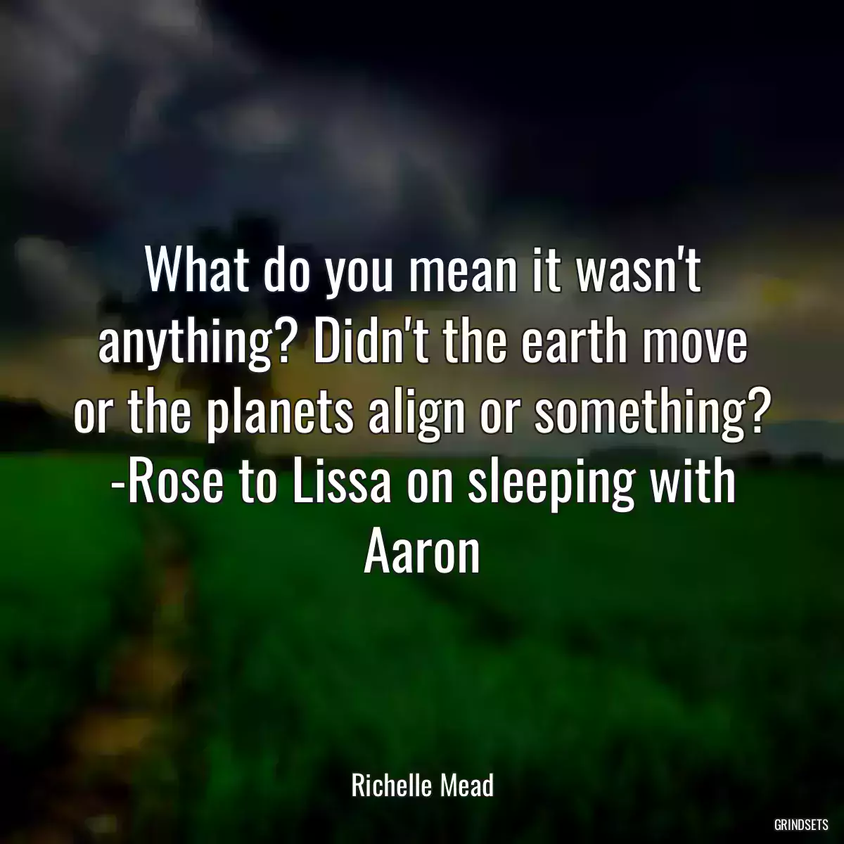 What do you mean it wasn\'t anything? Didn\'t the earth move or the planets align or something? -Rose to Lissa on sleeping with Aaron