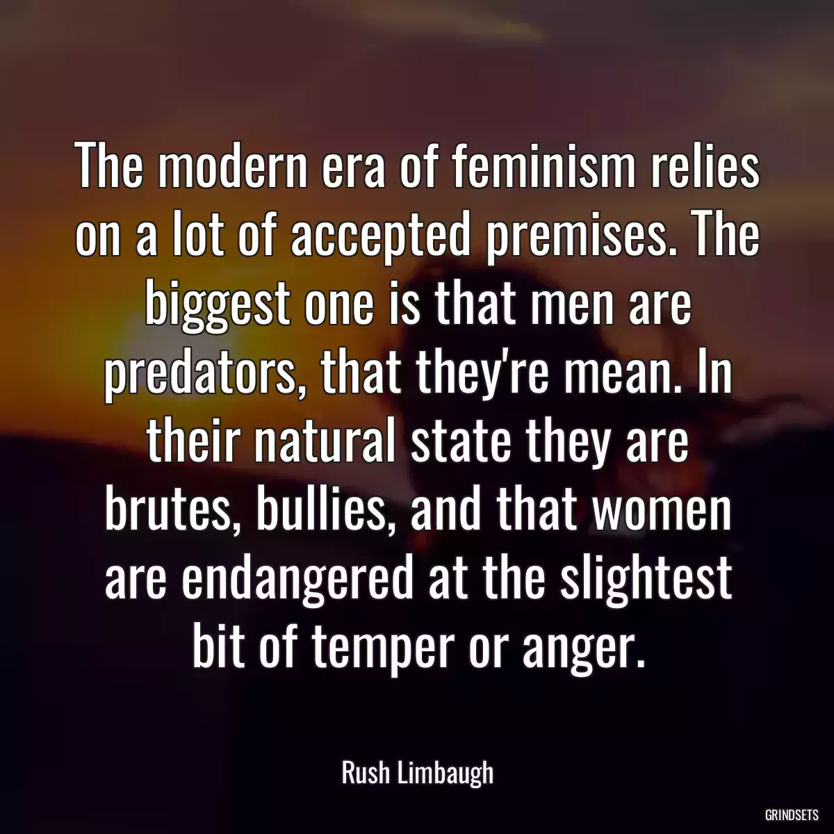 The modern era of feminism relies on a lot of accepted premises. The biggest one is that men are predators, that they\'re mean. In their natural state they are brutes, bullies, and that women are endangered at the slightest bit of temper or anger.