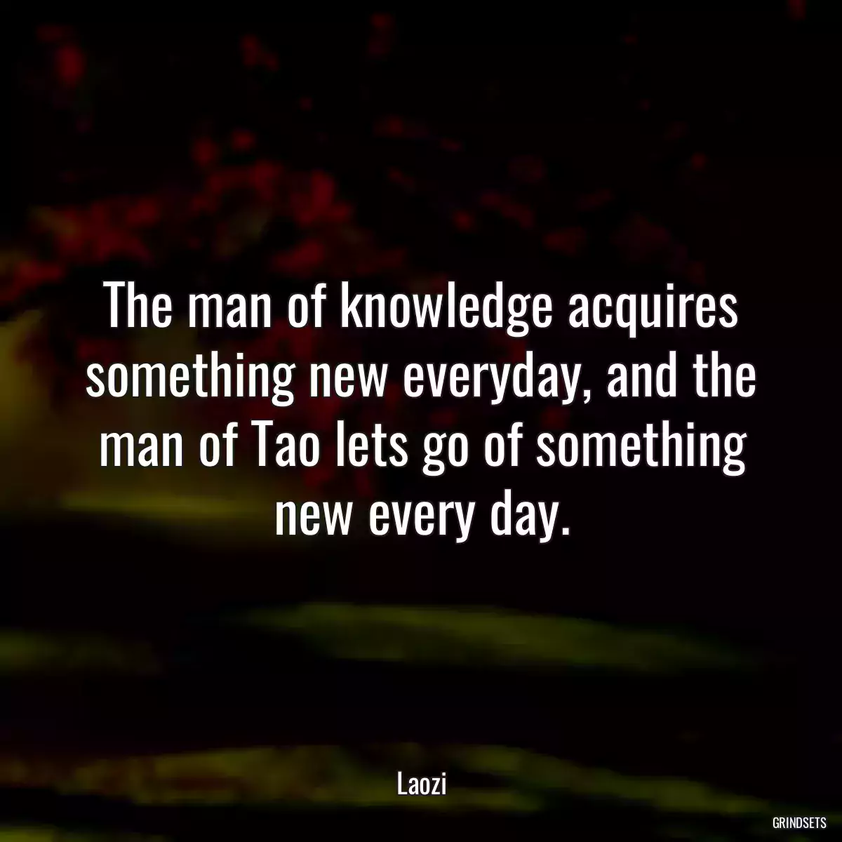 The man of knowledge acquires something new everyday, and the man of Tao lets go of something new every day.