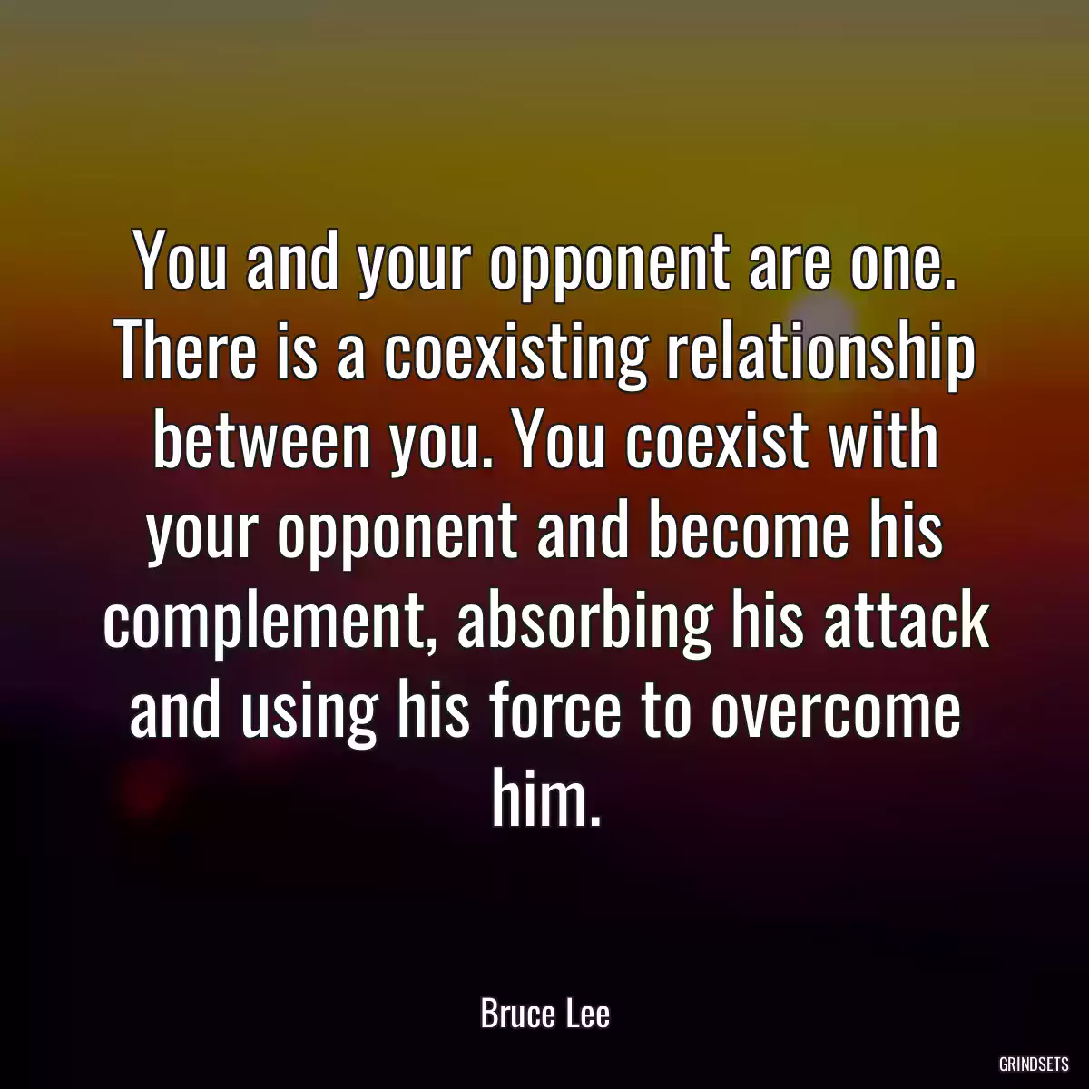 You and your opponent are one. There is a coexisting relationship between you. You coexist with your opponent and become his complement, absorbing his attack and using his force to overcome him.