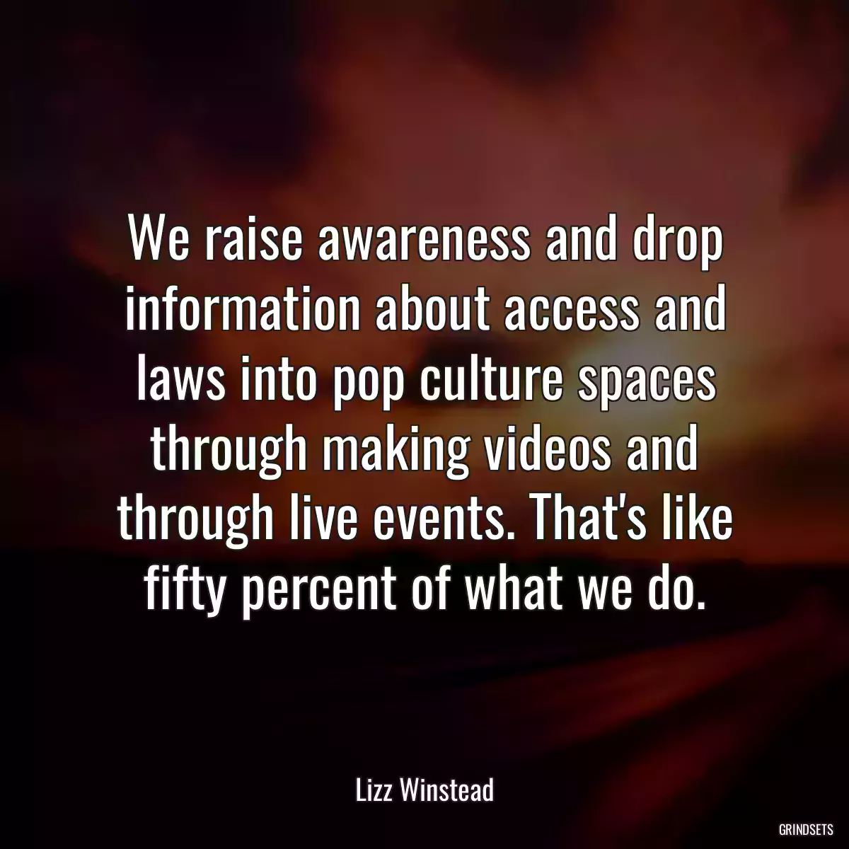 We raise awareness and drop information about access and laws into pop culture spaces through making videos and through live events. That\'s like fifty percent of what we do.