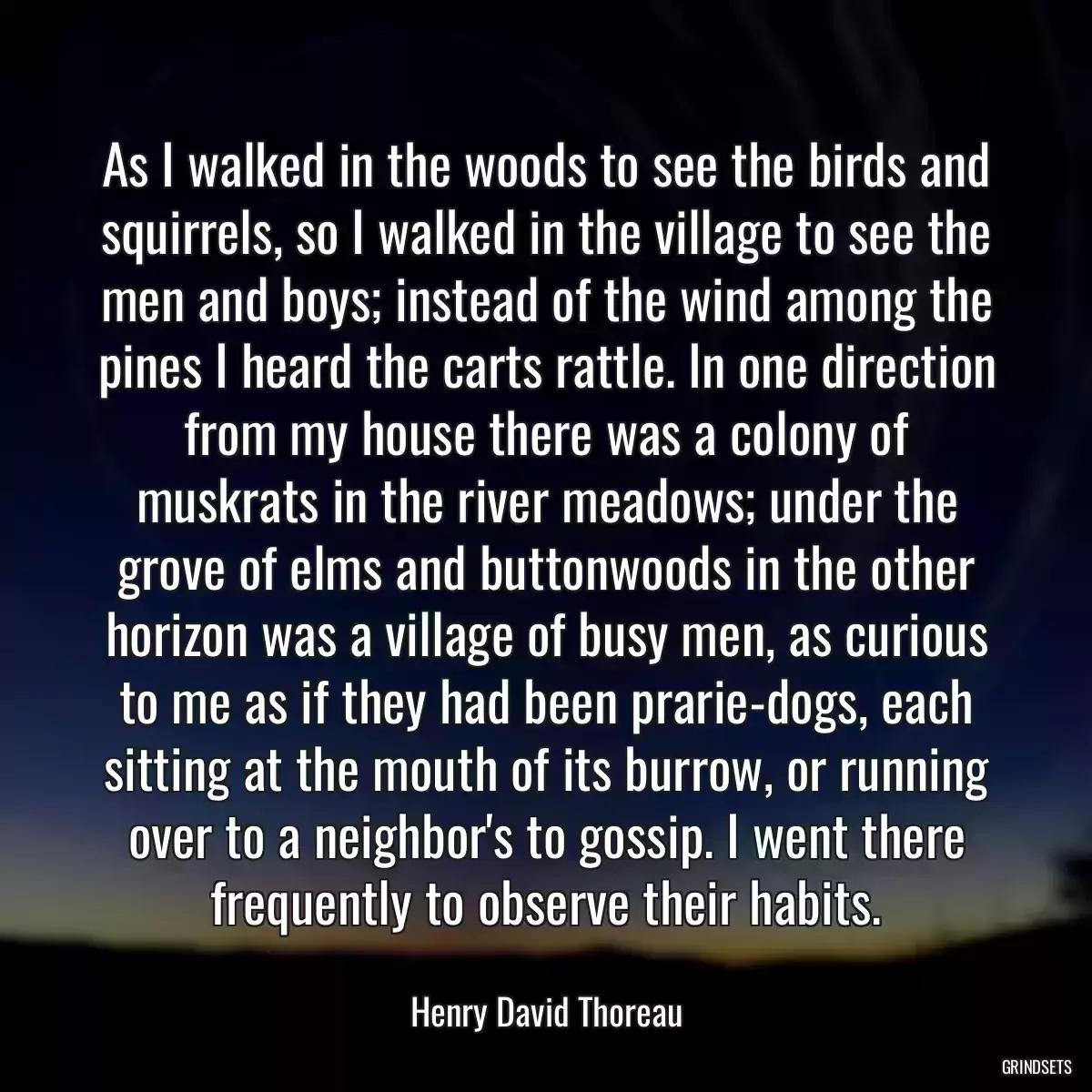 As I walked in the woods to see the birds and squirrels, so I walked in the village to see the men and boys; instead of the wind among the pines I heard the carts rattle. In one direction from my house there was a colony of muskrats in the river meadows; under the grove of elms and buttonwoods in the other horizon was a village of busy men, as curious to me as if they had been prarie-dogs, each sitting at the mouth of its burrow, or running over to a neighbor\'s to gossip. I went there frequently to observe their habits.