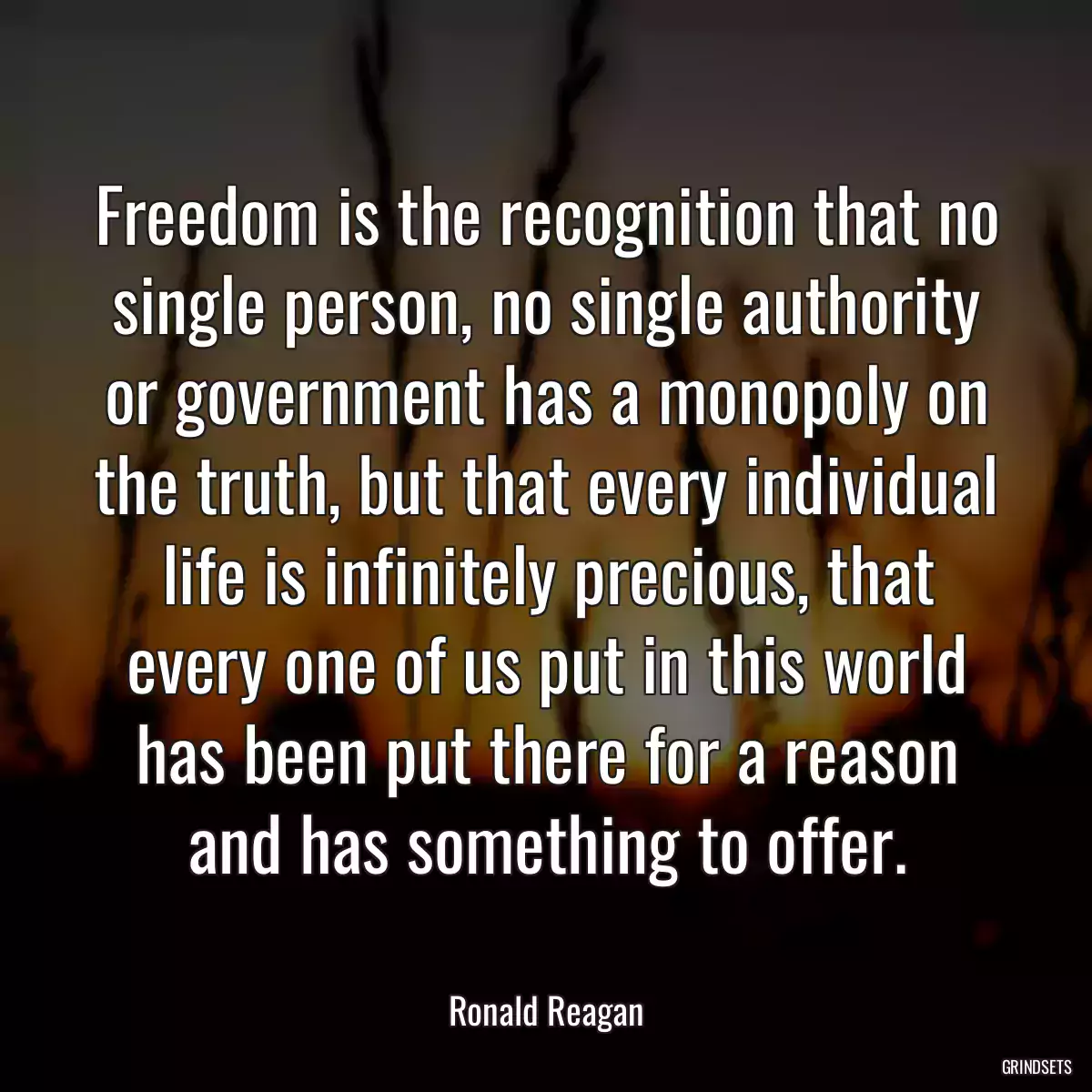 Freedom is the recognition that no single person, no single authority or government has a monopoly on the truth, but that every individual life is infinitely precious, that every one of us put in this world has been put there for a reason and has something to offer.