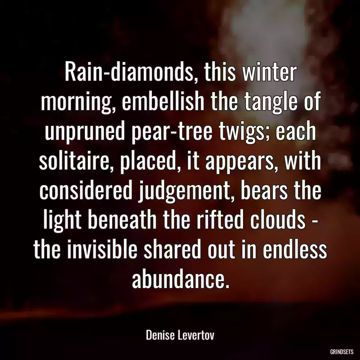 Rain-diamonds, this winter morning, embellish the tangle of unpruned pear-tree twigs; each solitaire, placed, it appears, with considered judgement, bears the light beneath the rifted clouds - the invisible shared out in endless abundance.