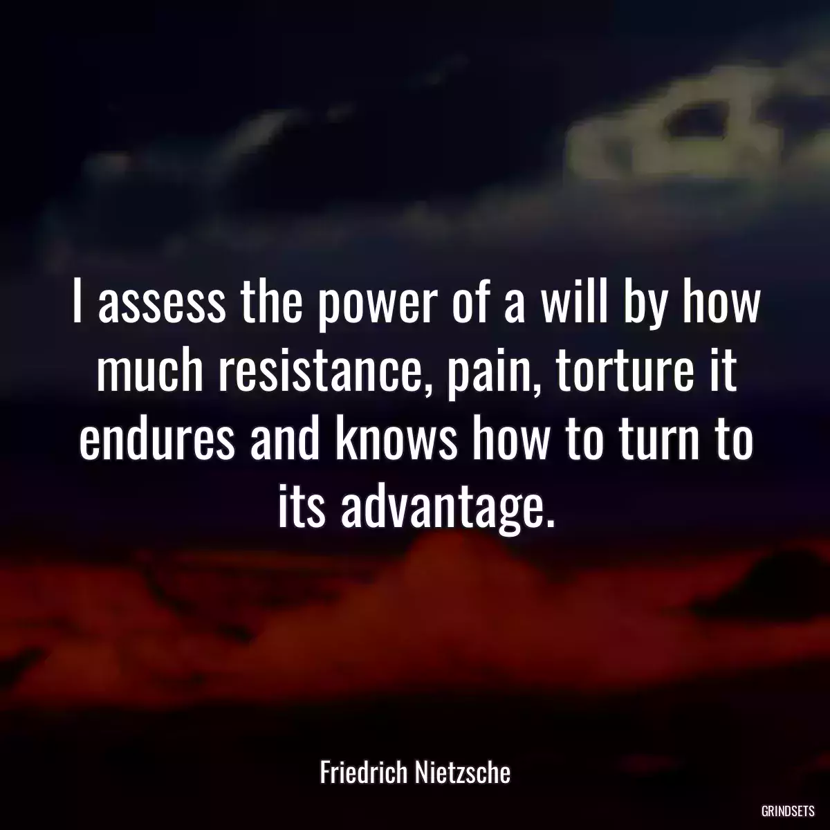 I assess the power of a will by how much resistance, pain, torture it endures and knows how to turn to its advantage.