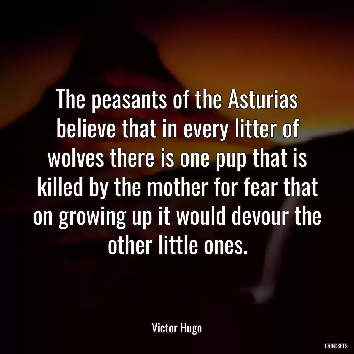 The peasants of the Asturias believe that in every litter of wolves there is one pup that is killed by the mother for fear that on growing up it would devour the other little ones.