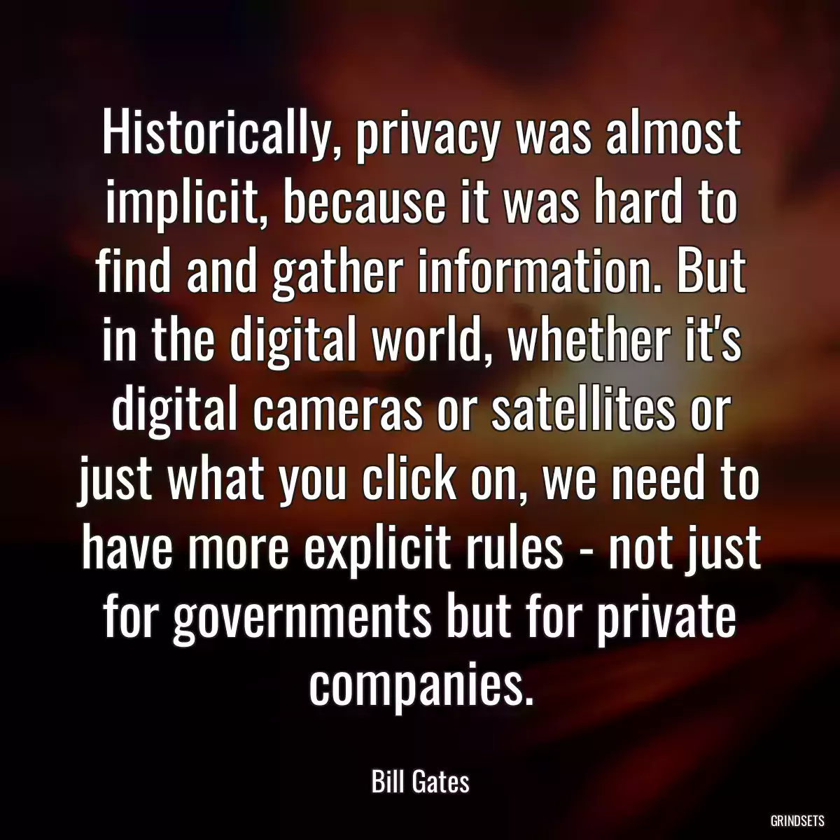 Historically, privacy was almost implicit, because it was hard to find and gather information. But in the digital world, whether it\'s digital cameras or satellites or just what you click on, we need to have more explicit rules - not just for governments but for private companies.