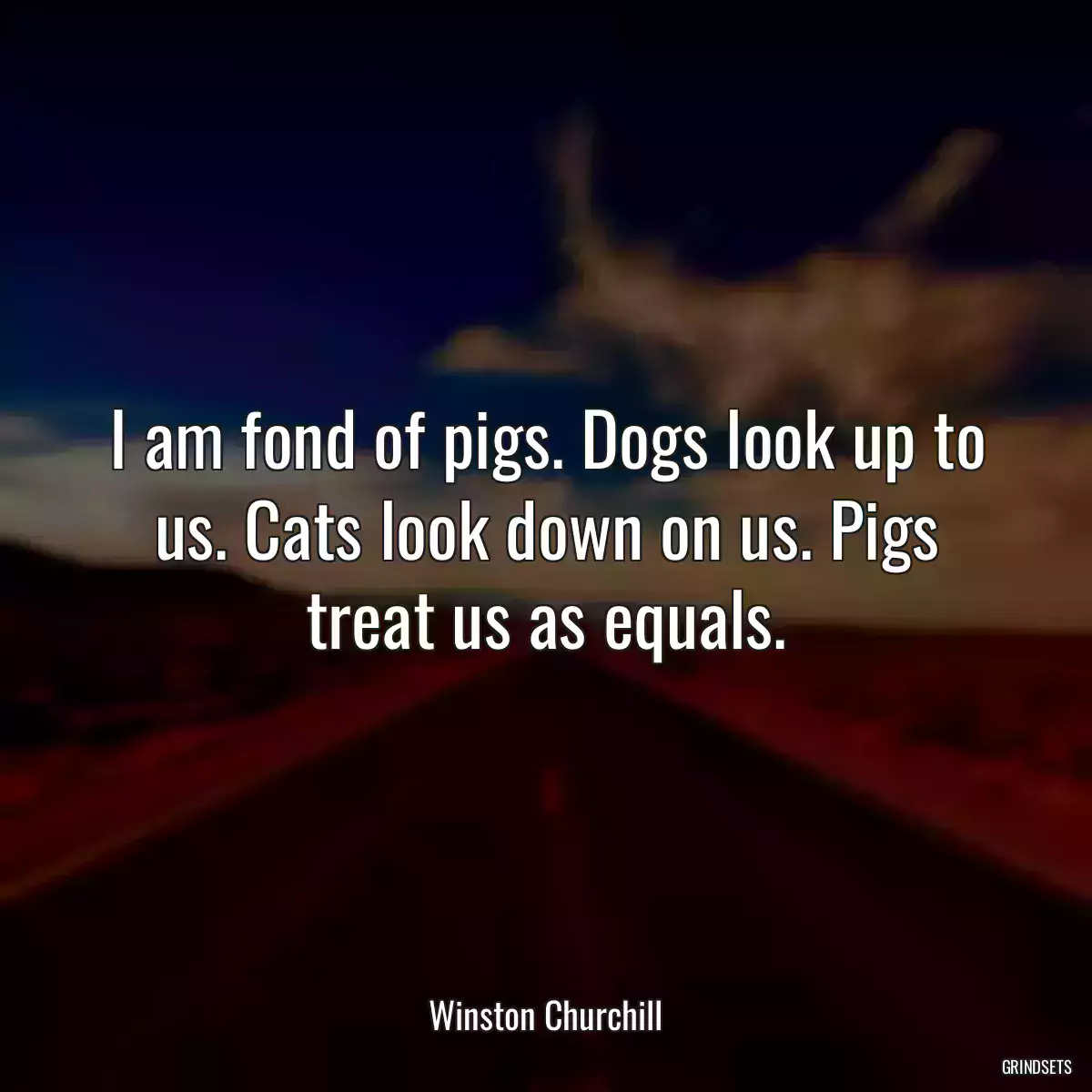 I am fond of pigs. Dogs look up to us. Cats look down on us. Pigs treat us as equals.