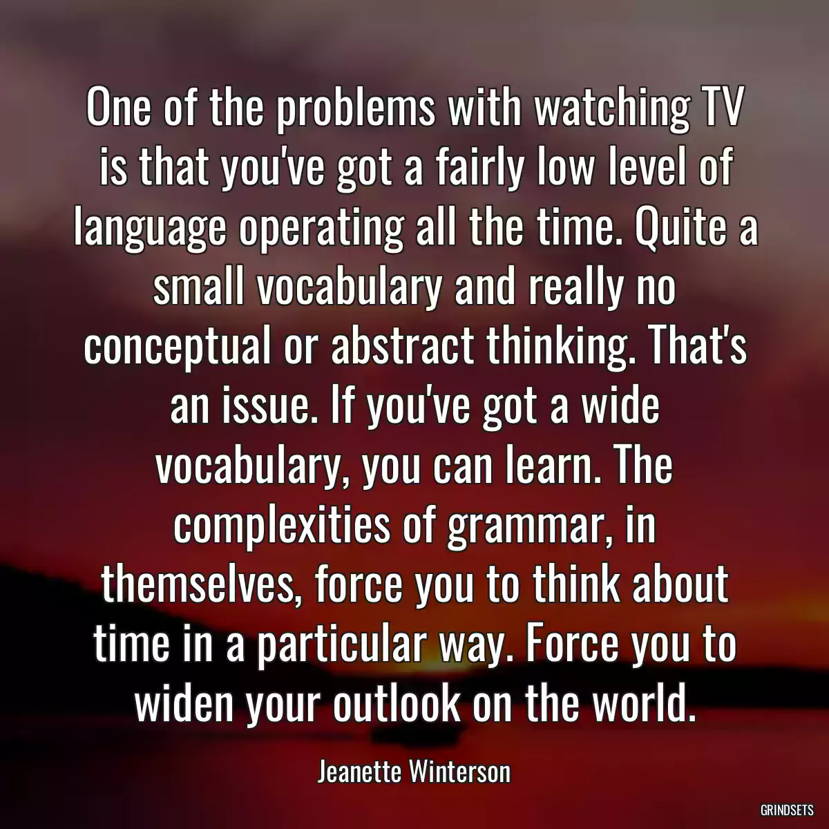 One of the problems with watching TV is that you\'ve got a fairly low level of language operating all the time. Quite a small vocabulary and really no conceptual or abstract thinking. That\'s an issue. If you\'ve got a wide vocabulary, you can learn. The complexities of grammar, in themselves, force you to think about time in a particular way. Force you to widen your outlook on the world.