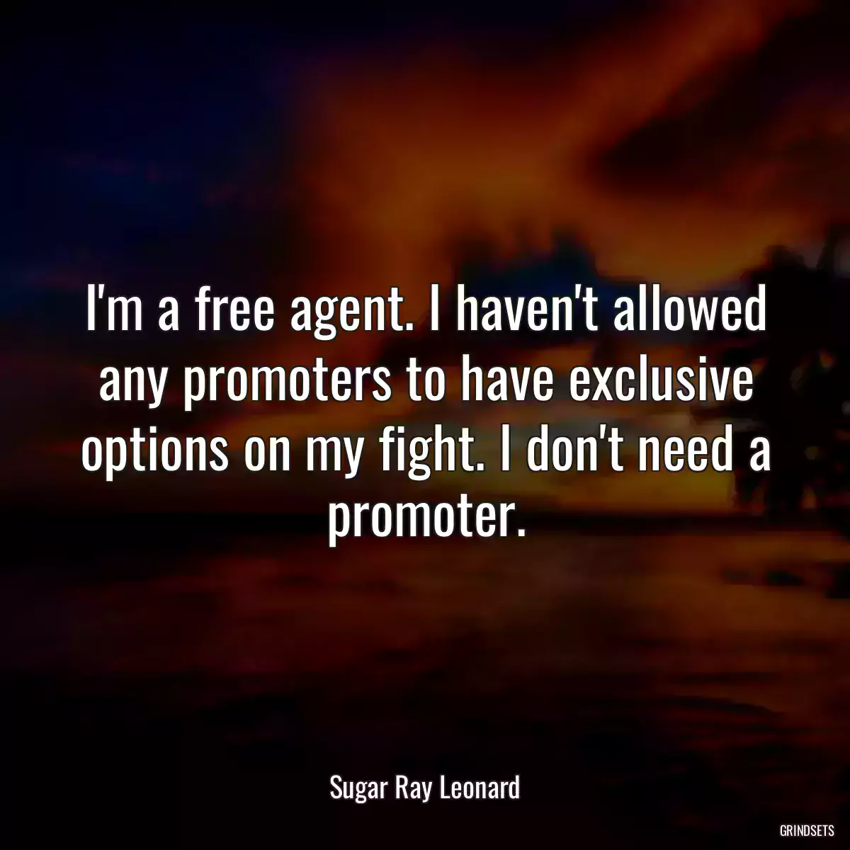 I\'m a free agent. I haven\'t allowed any promoters to have exclusive options on my fight. I don\'t need a promoter.