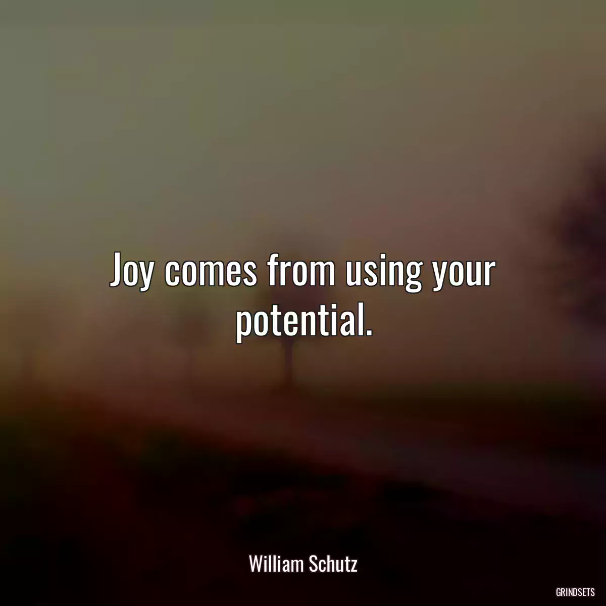 Joy comes from using your potential.