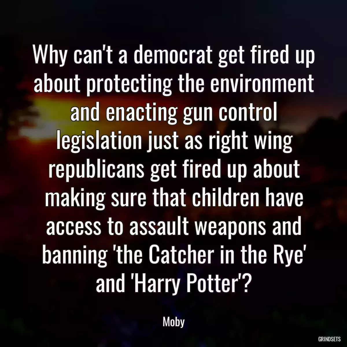 Why can\'t a democrat get fired up about protecting the environment and enacting gun control legislation just as right wing republicans get fired up about making sure that children have access to assault weapons and banning \'the Catcher in the Rye\' and \'Harry Potter\'?