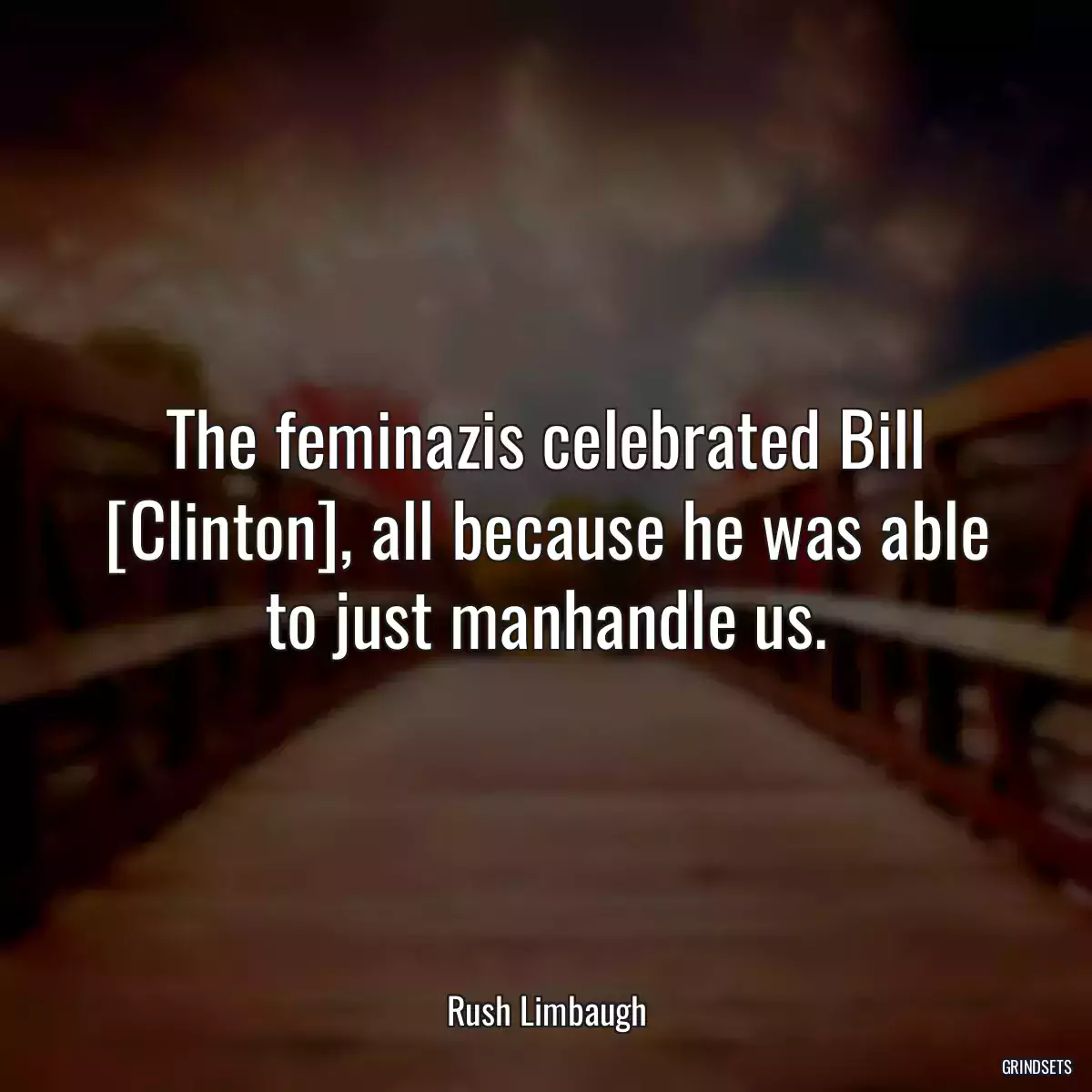 The feminazis celebrated Bill [Clinton], all because he was able to just manhandle us.