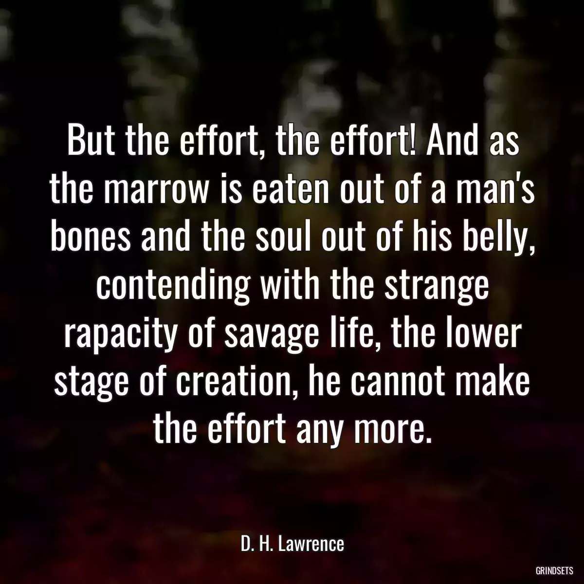 But the effort, the effort! And as the marrow is eaten out of a man\'s bones and the soul out of his belly, contending with the strange rapacity of savage life, the lower stage of creation, he cannot make the effort any more.