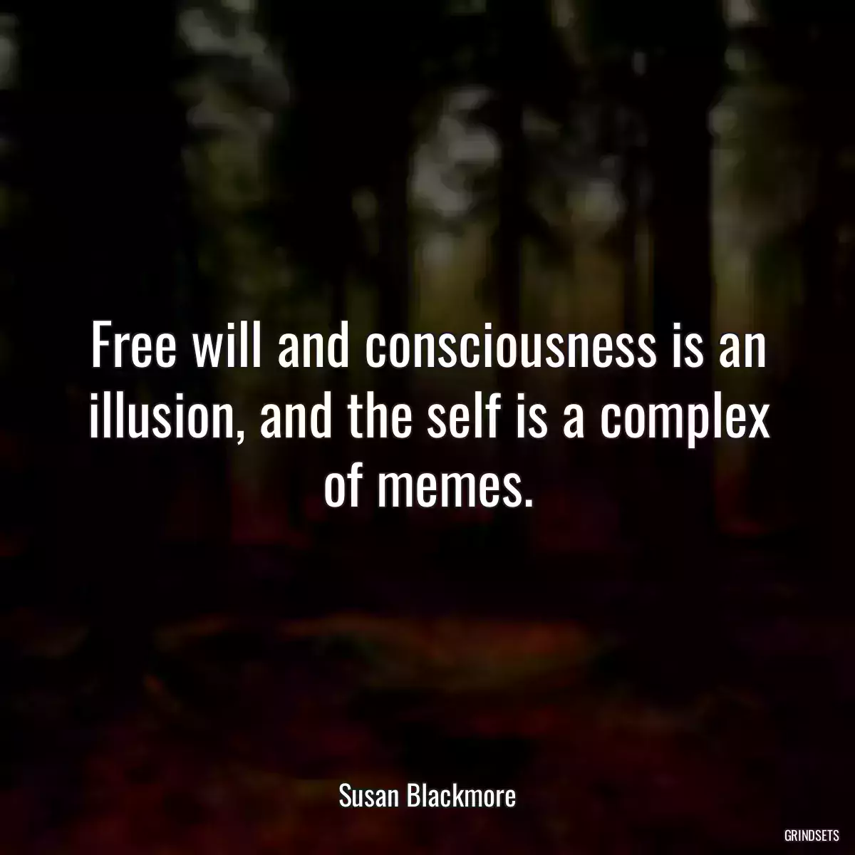 Free will and consciousness is an illusion, and the self is a complex of memes.