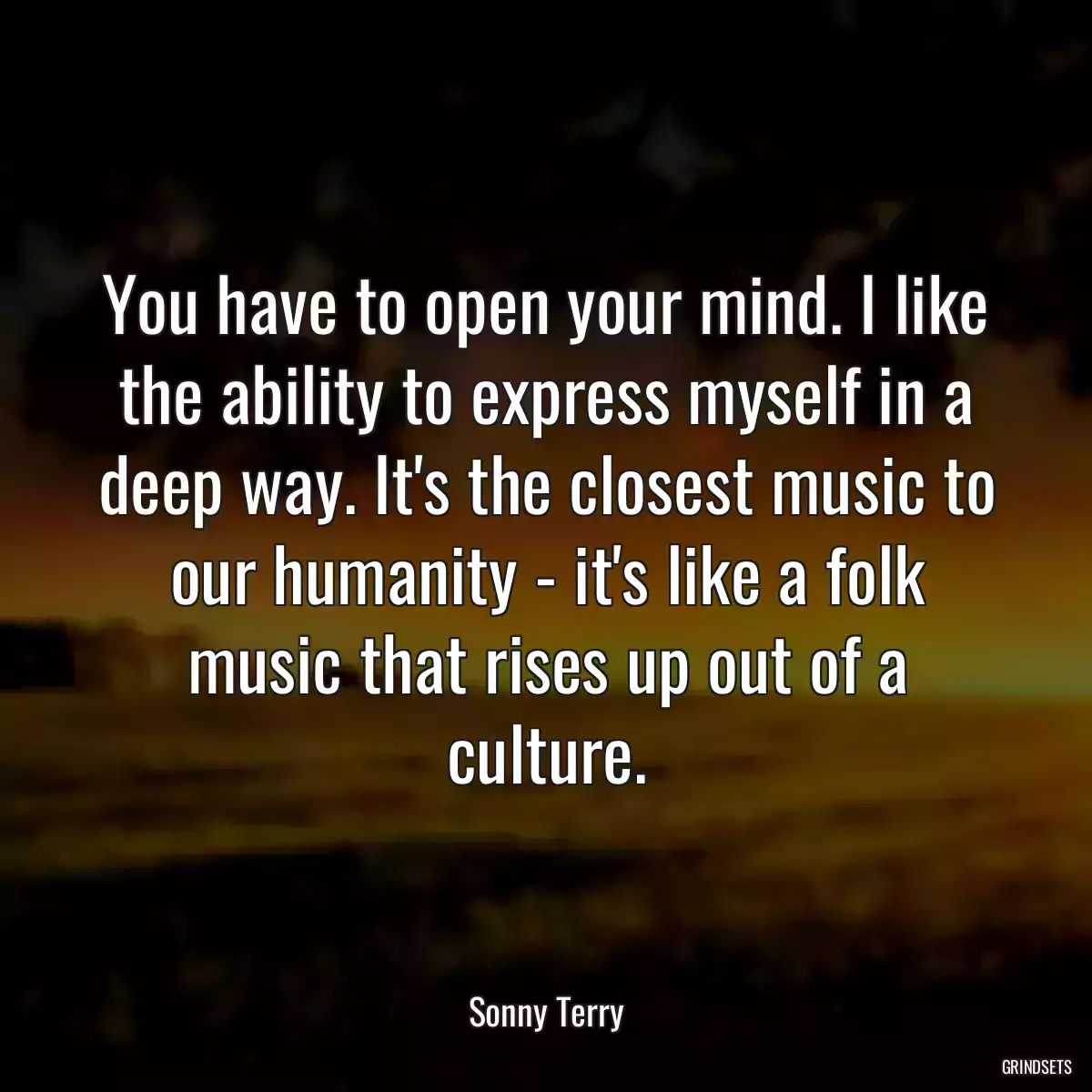 You have to open your mind. I like the ability to express myself in a deep way. It\'s the closest music to our humanity - it\'s like a folk music that rises up out of a culture.