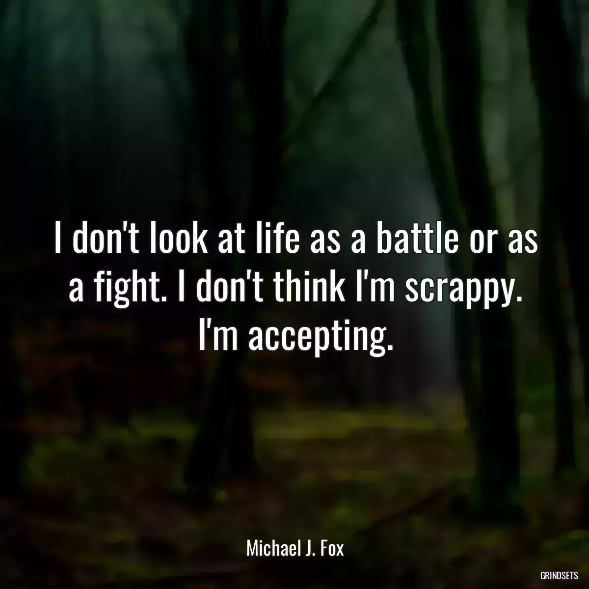 I don\'t look at life as a battle or as a fight. I don\'t think I\'m scrappy. I\'m accepting.