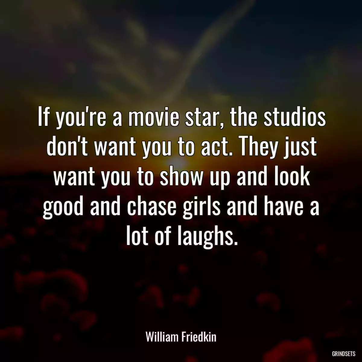 If you\'re a movie star, the studios don\'t want you to act. They just want you to show up and look good and chase girls and have a lot of laughs.