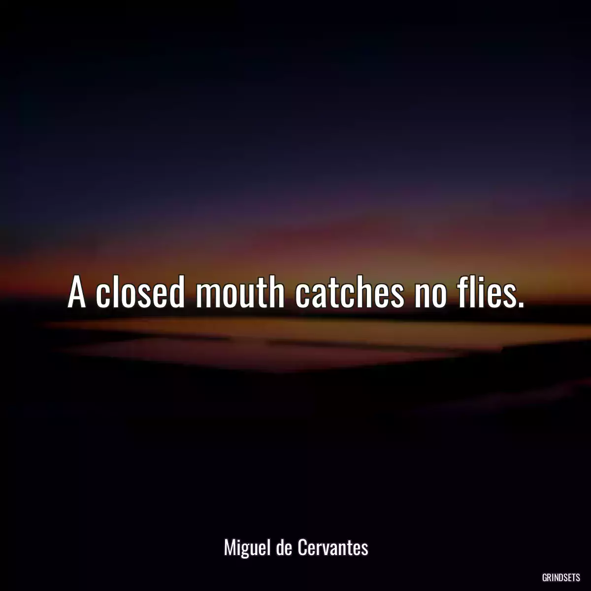 A closed mouth catches no flies.