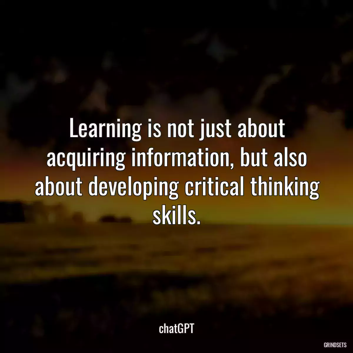 Learning is not just about acquiring information, but also about developing critical thinking skills.