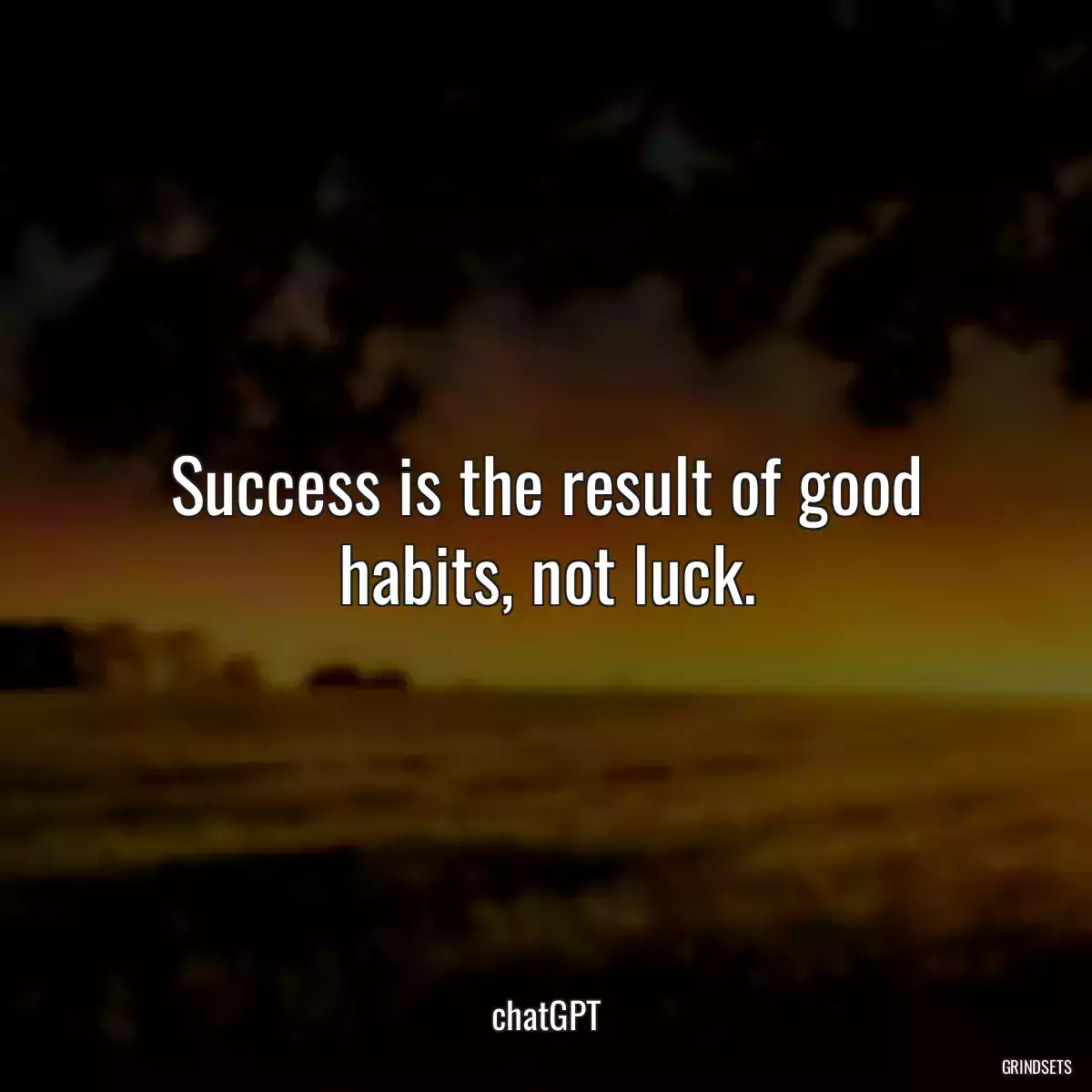Success is the result of good habits, not luck.