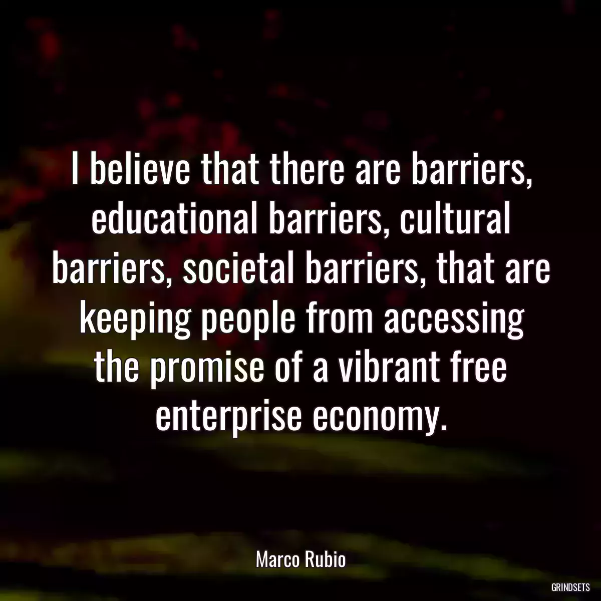 I believe that there are barriers, educational barriers, cultural barriers, societal barriers, that are keeping people from accessing the promise of a vibrant free enterprise economy.