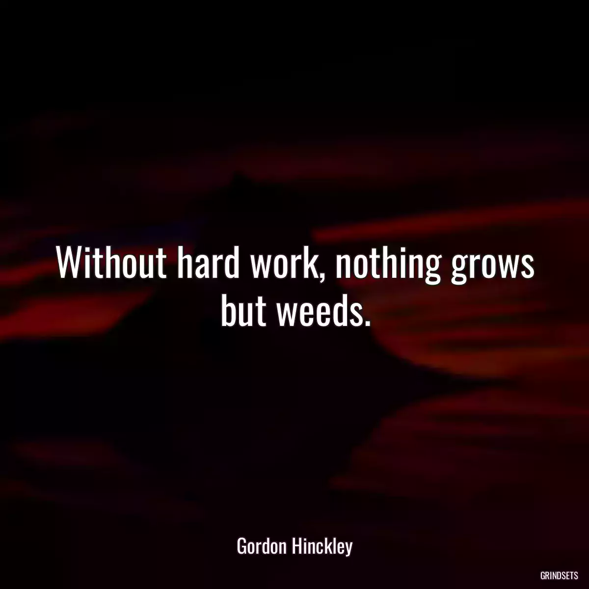 Without hard work, nothing grows but weeds.