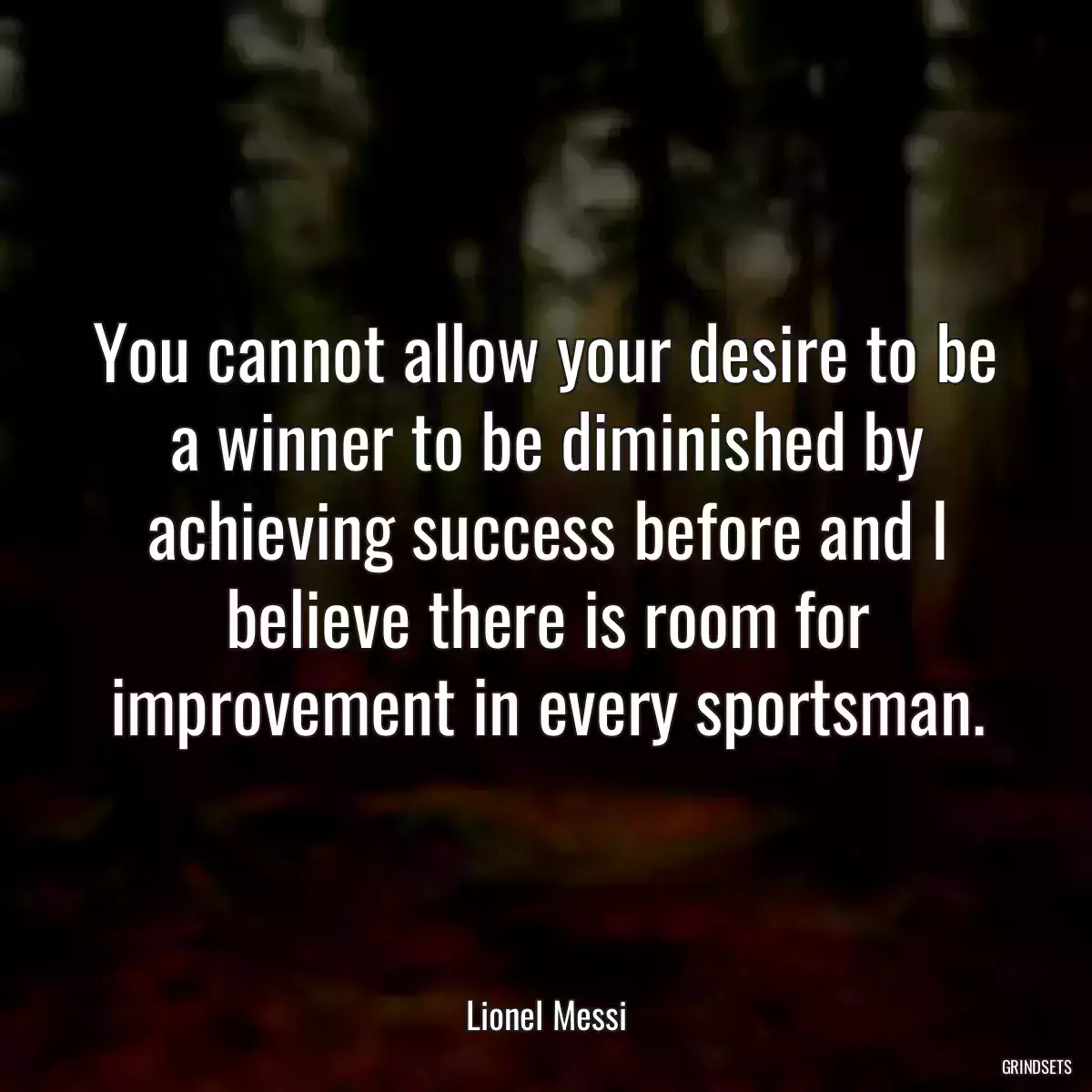 You cannot allow your desire to be a winner to be diminished by achieving success before and I believe there is room for improvement in every sportsman.