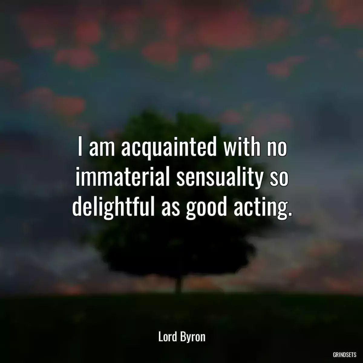 I am acquainted with no immaterial sensuality so delightful as good acting.