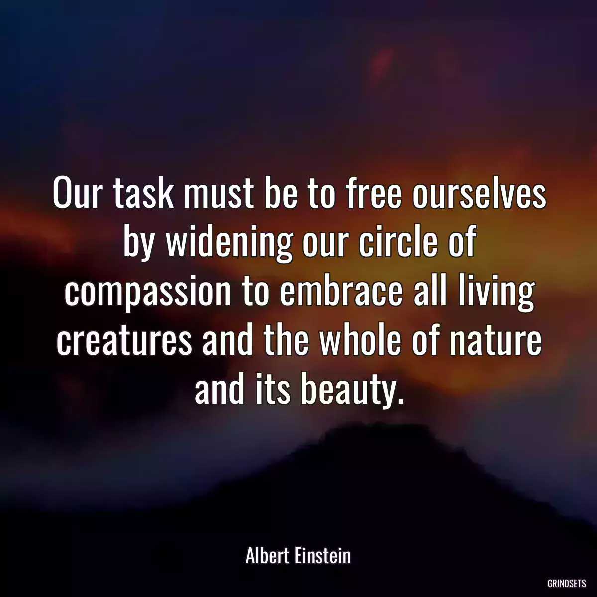 Our task must be to free ourselves by widening our circle of compassion to embrace all living creatures and the whole of nature and its beauty.