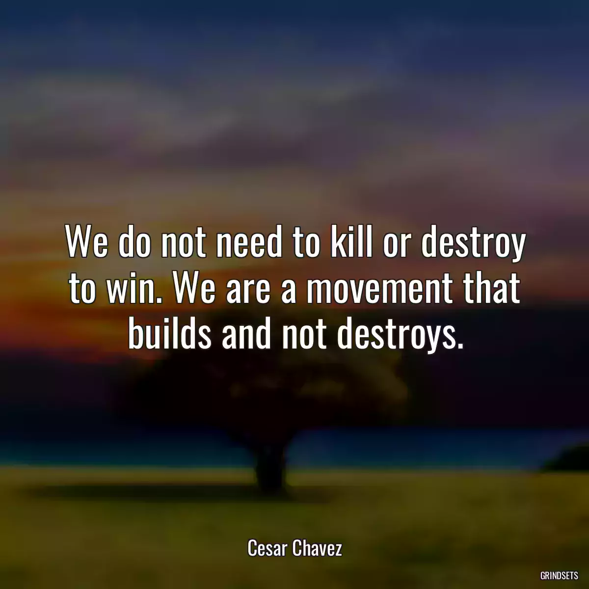 We do not need to kill or destroy to win. We are a movement that builds and not destroys.