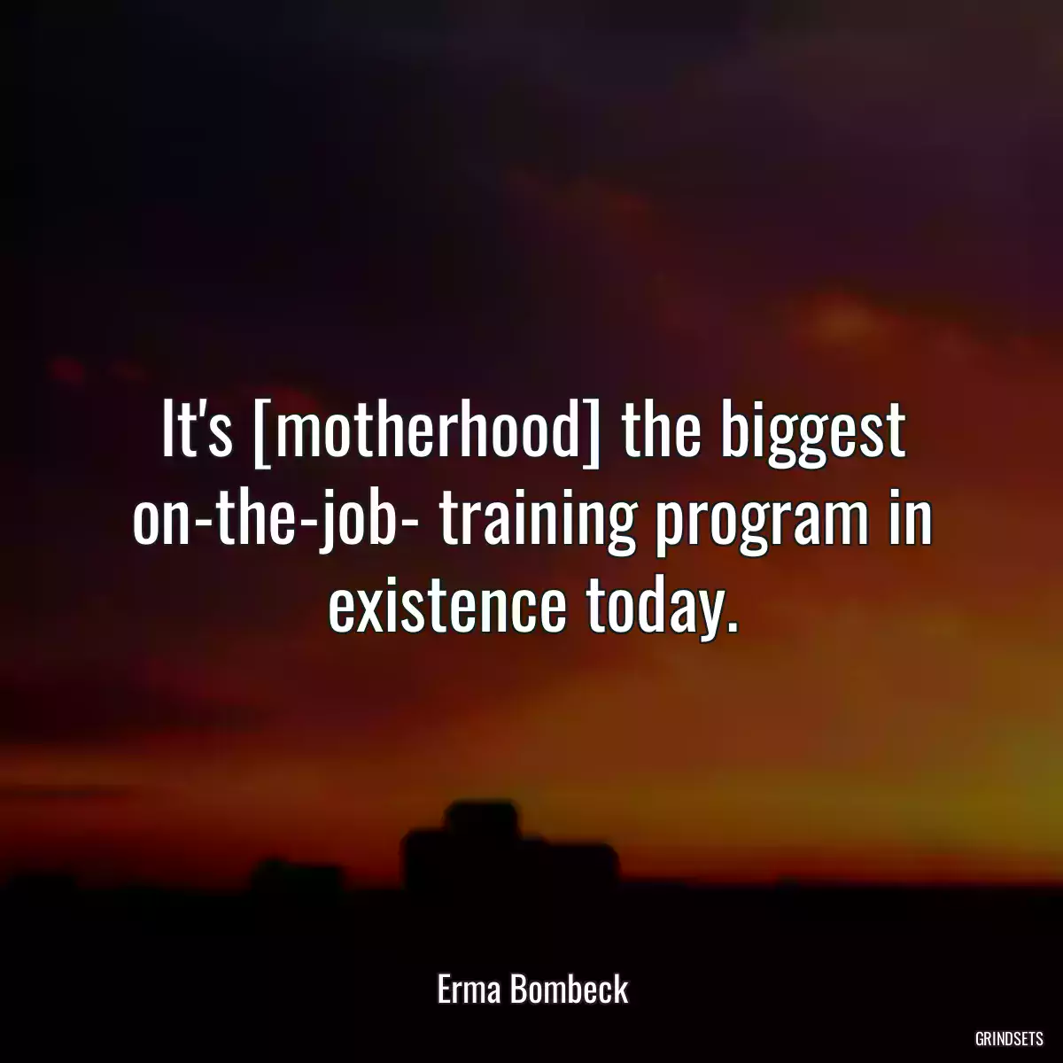 It\'s [motherhood] the biggest on-the-job- training program in existence today.