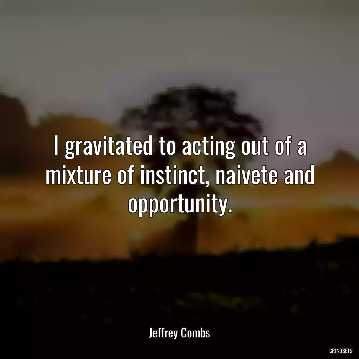 I gravitated to acting out of a mixture of instinct, naivete and opportunity.