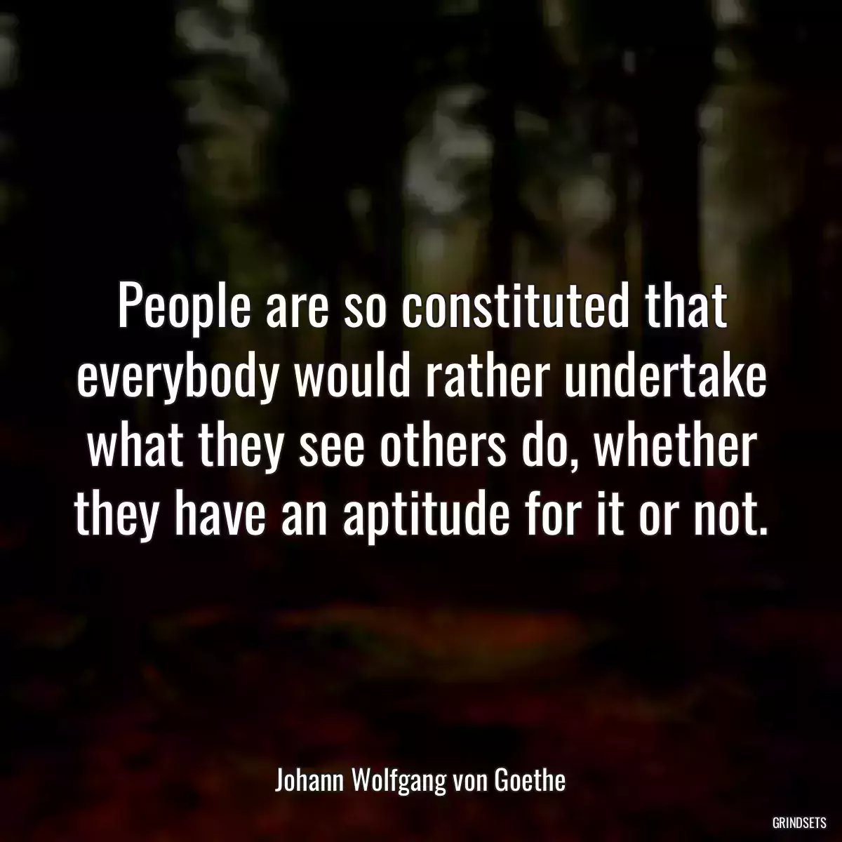 People are so constituted that everybody would rather undertake what they see others do, whether they have an aptitude for it or not.