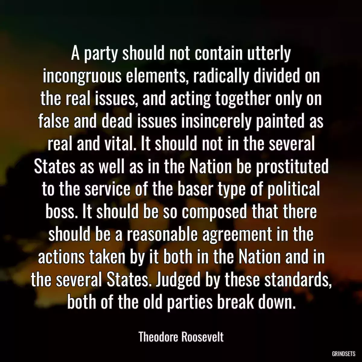 A party should not contain utterly incongruous elements, radically divided on the real issues, and acting together only on false and dead issues insincerely painted as real and vital. It should not in the several States as well as in the Nation be prostituted to the service of the baser type of political boss. It should be so composed that there should be a reasonable agreement in the actions taken by it both in the Nation and in the several States. Judged by these standards, both of the old parties break down.