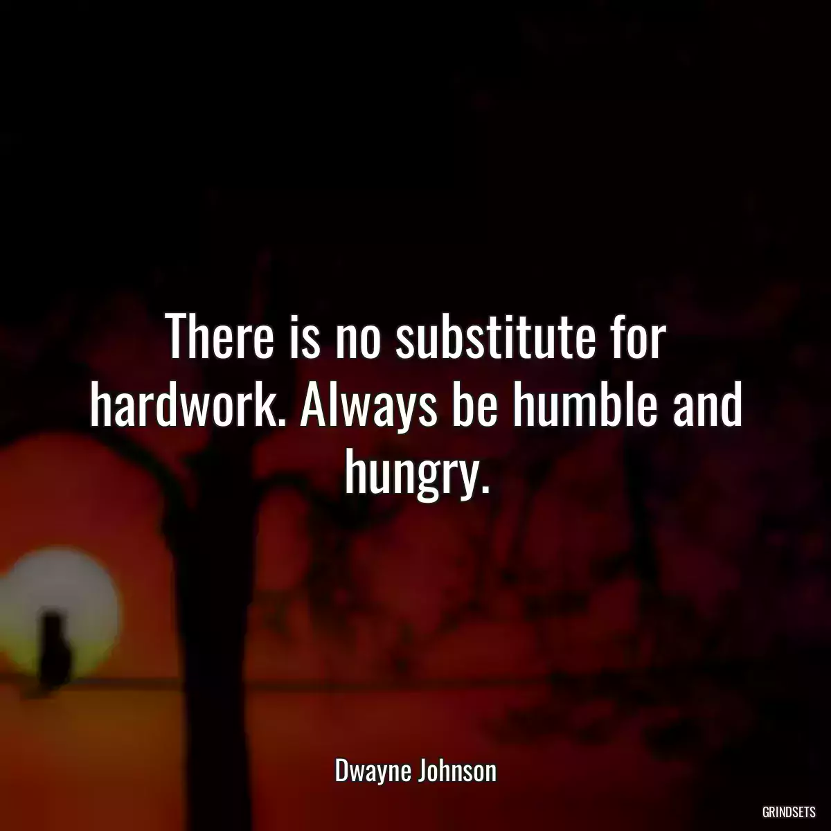 There is no substitute for hardwork. Always be humble and hungry.