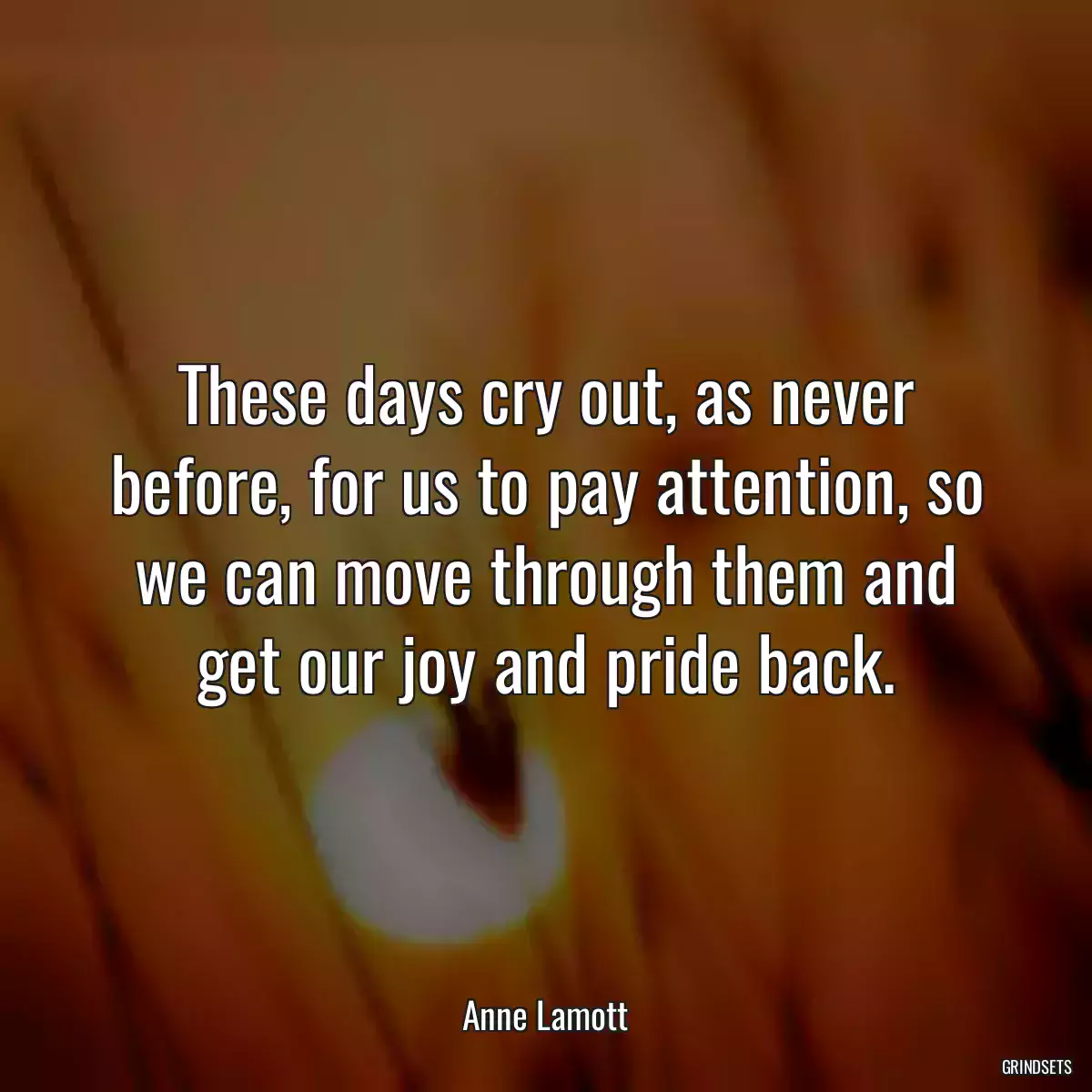 These days cry out, as never before, for us to pay attention, so we can move through them and get our joy and pride back.