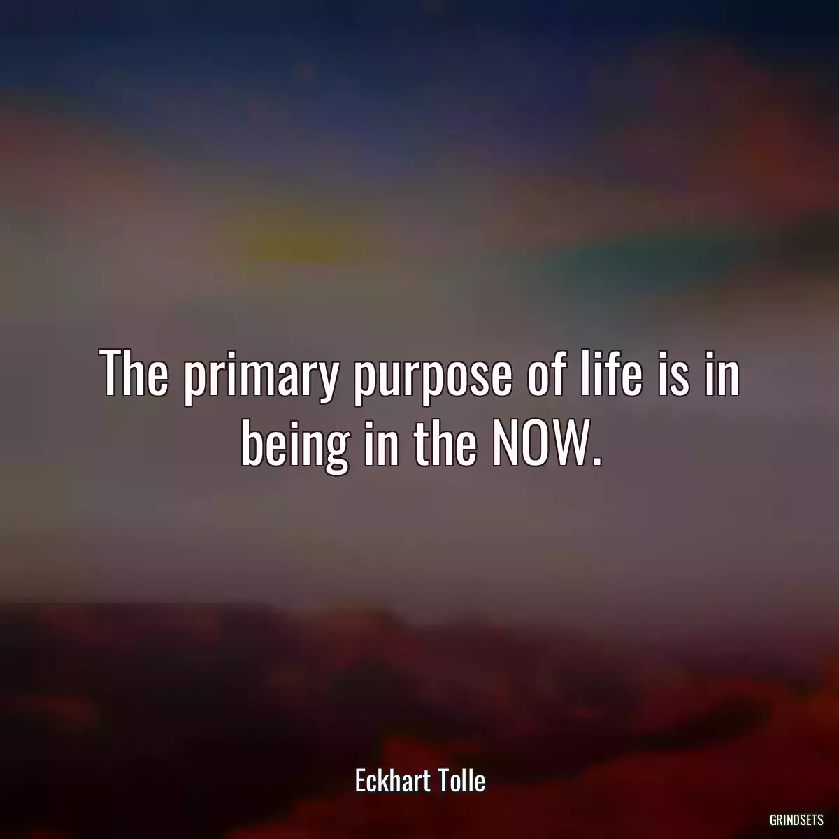 The primary purpose of life is in being in the NOW.