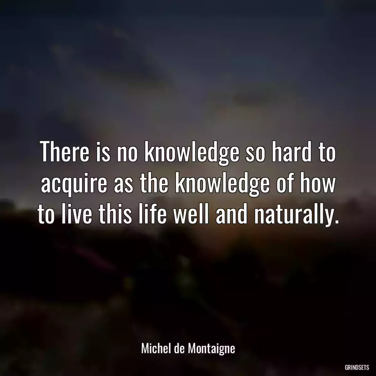 There is no knowledge so hard to acquire as the knowledge of how to live this life well and naturally.