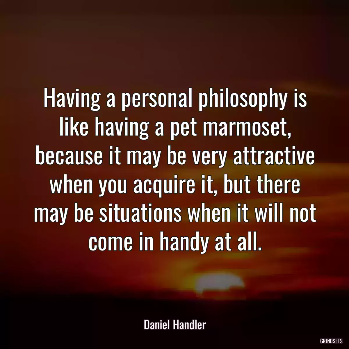 Having a personal philosophy is like having a pet marmoset, because it may be very attractive when you acquire it, but there may be situations when it will not come in handy at all.