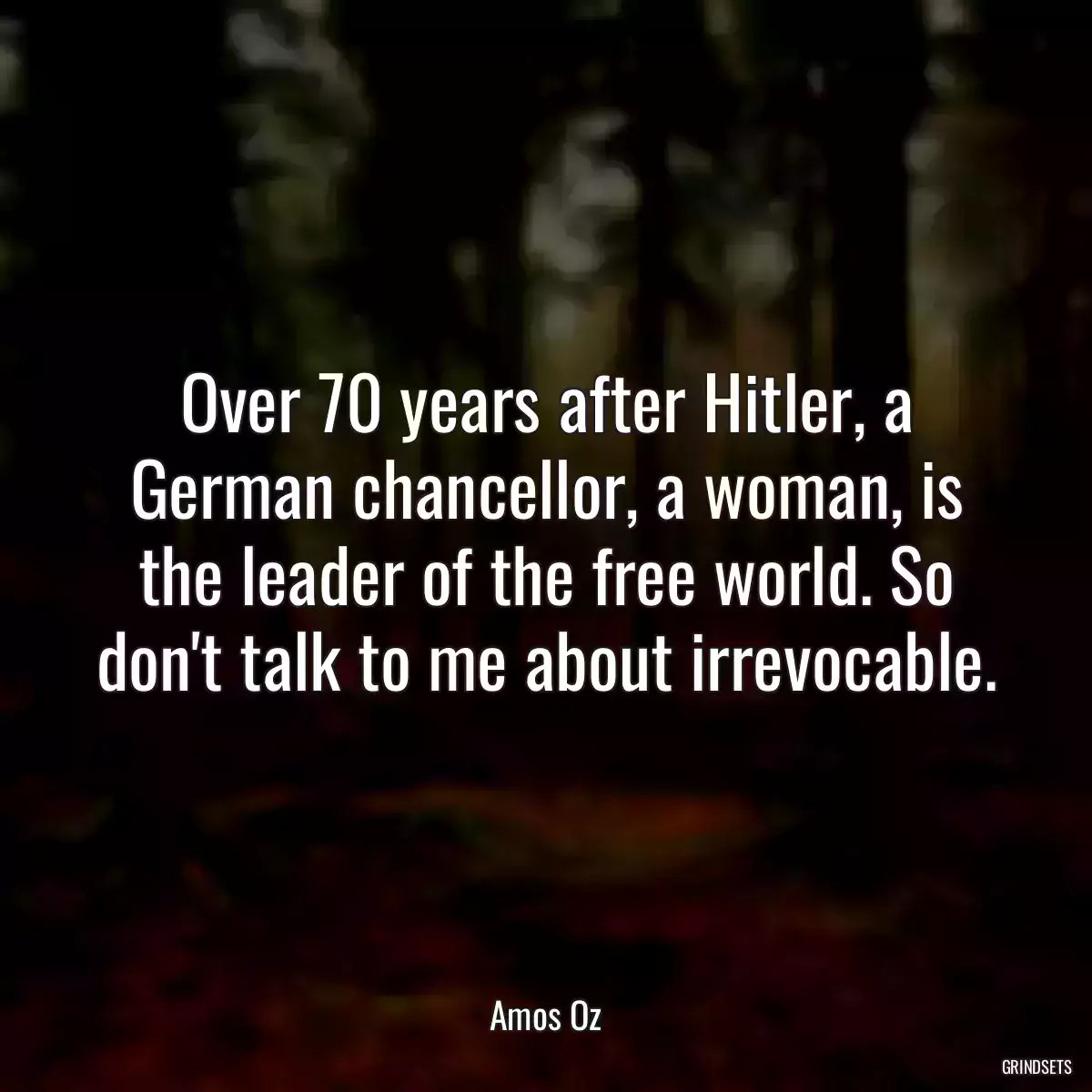 Over 70 years after Hitler, a German chancellor, a woman, is the leader of the free world. So don\'t talk to me about irrevocable.