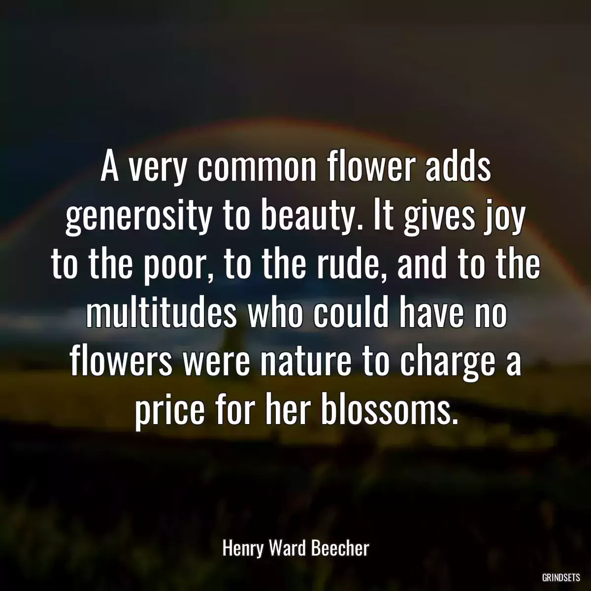 A very common flower adds generosity to beauty. It gives joy to the poor, to the rude, and to the multitudes who could have no flowers were nature to charge a price for her blossoms.