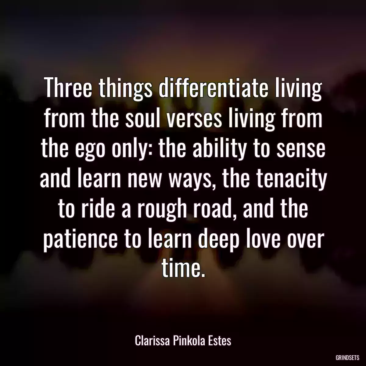 Three things differentiate living from the soul verses living from the ego only: the ability to sense and learn new ways, the tenacity to ride a rough road, and the patience to learn deep love over time.