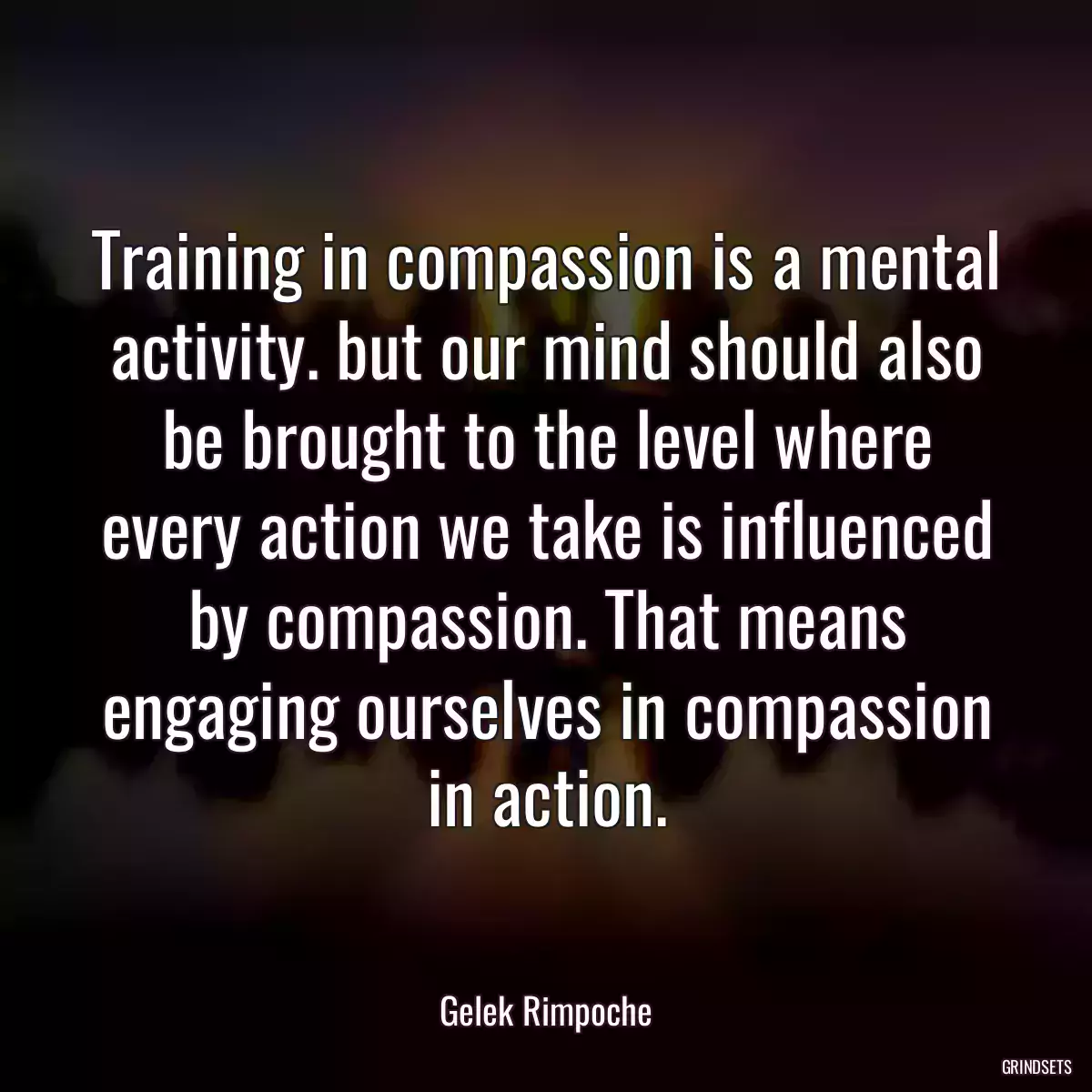 Training in compassion is a mental activity. but our mind should also be brought to the level where every action we take is influenced by compassion. That means engaging ourselves in compassion in action.